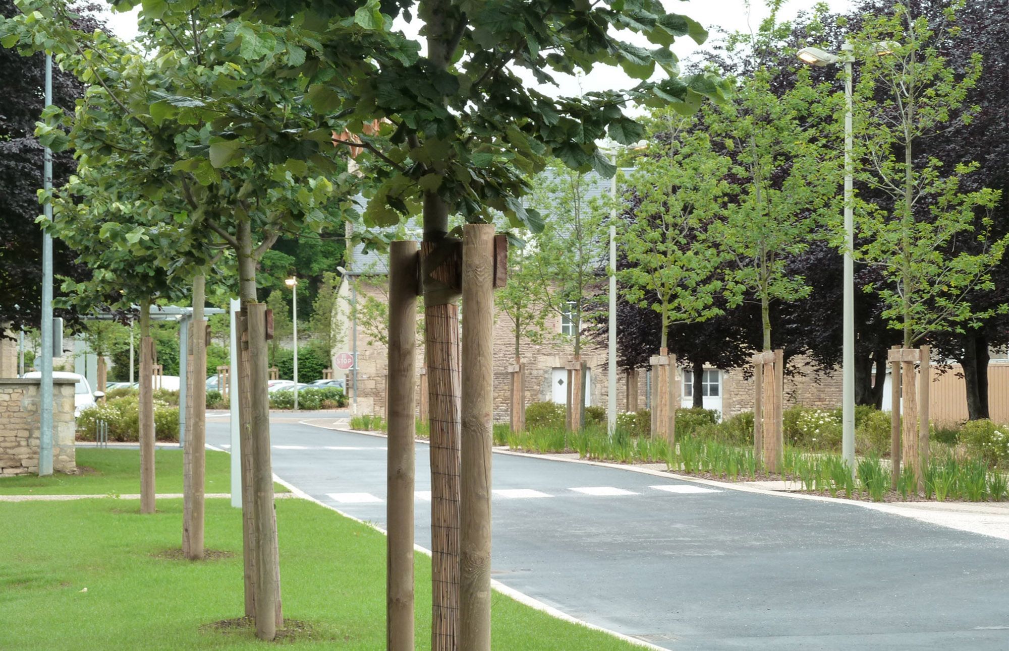 Image de la galerie du projet