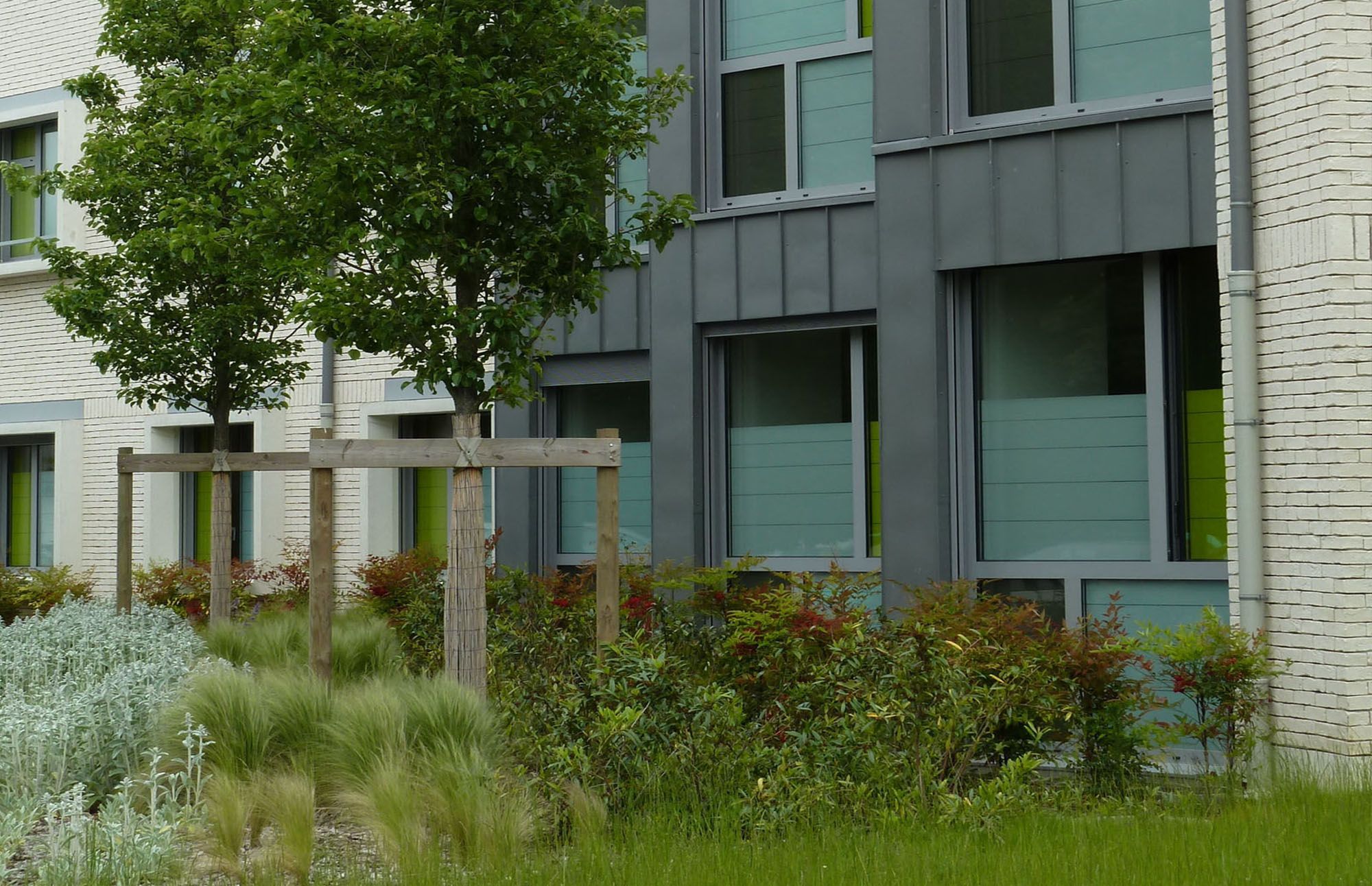 Image de la galerie du projet