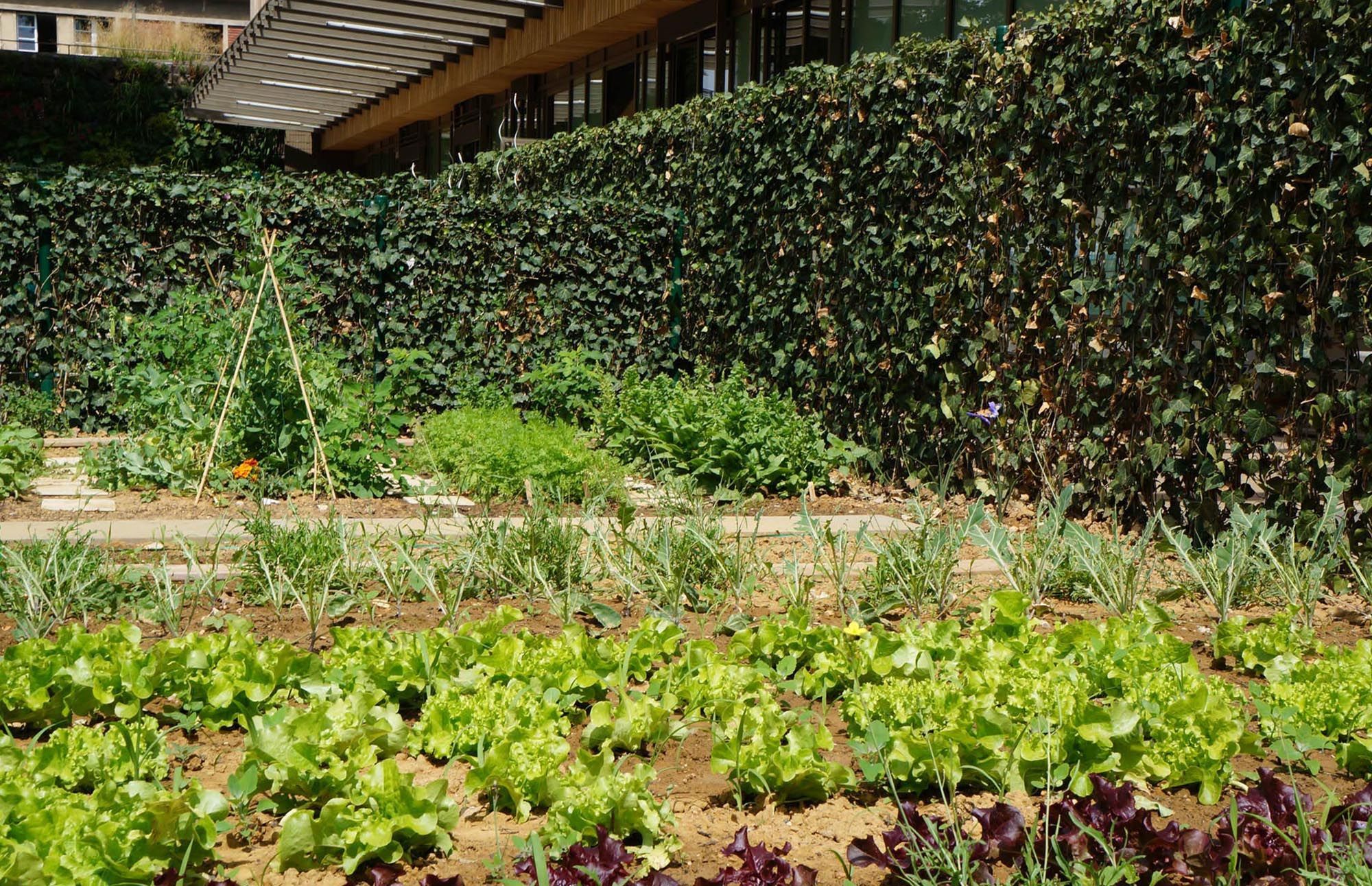 Image de la galerie du projet