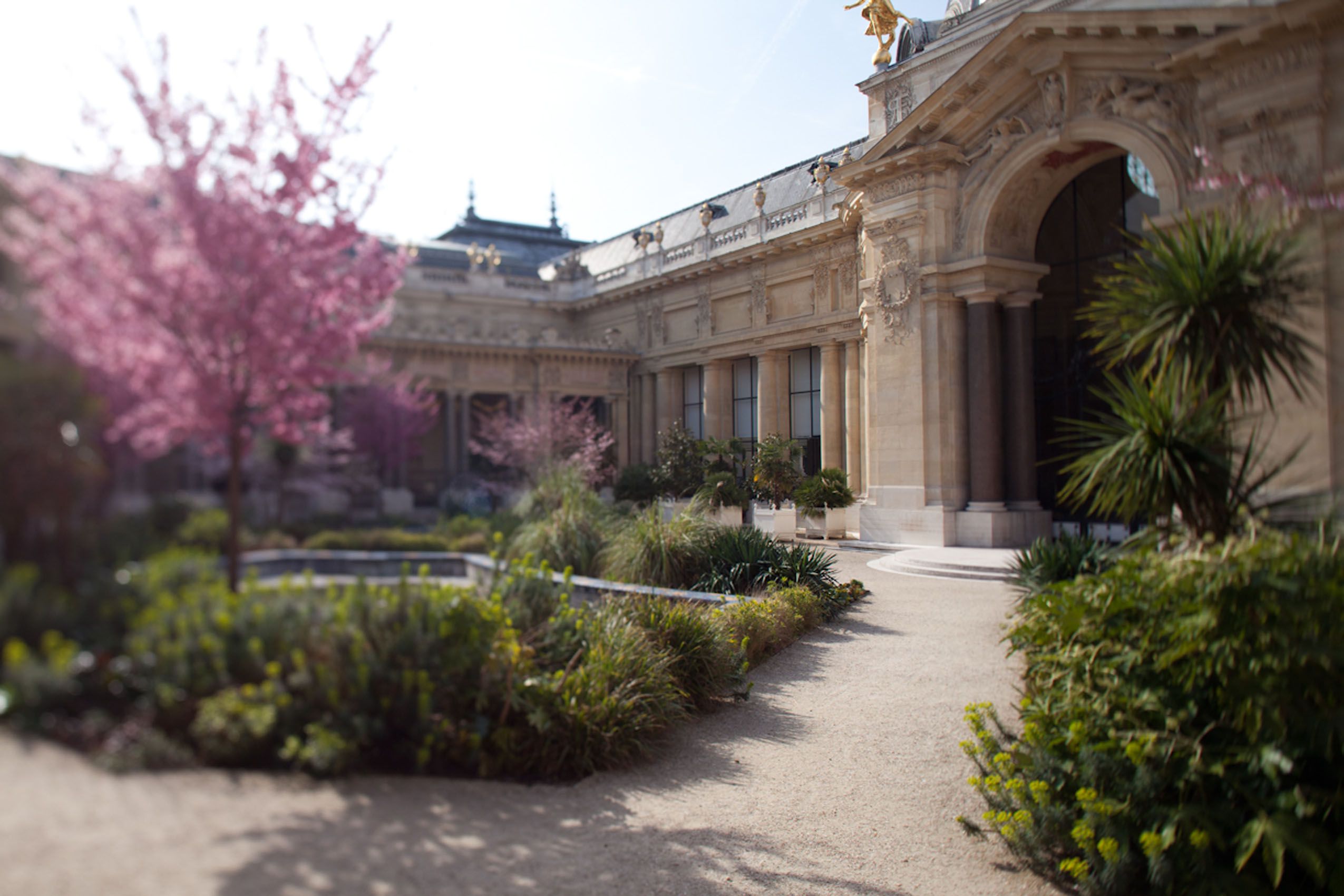 PETIT-PALAIS-Cerisier